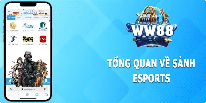 Thông tin sơ lược về esports WW88